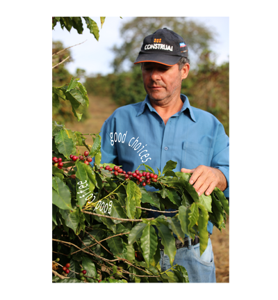 SERRA PELADA Espresso, Brazil