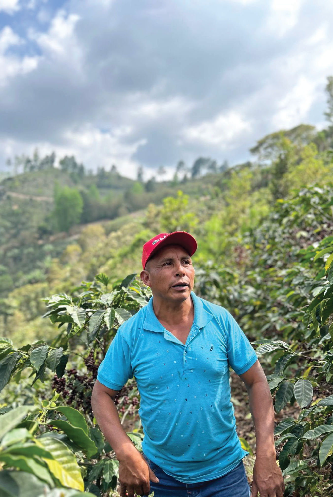 MARIANO ASTURIAS Filter, Honduras