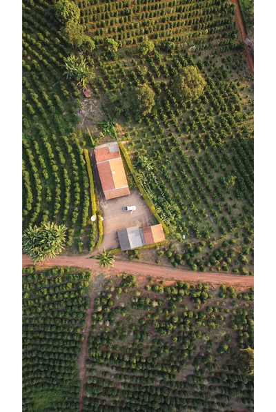 SERRA PELADA Filter, Brazil